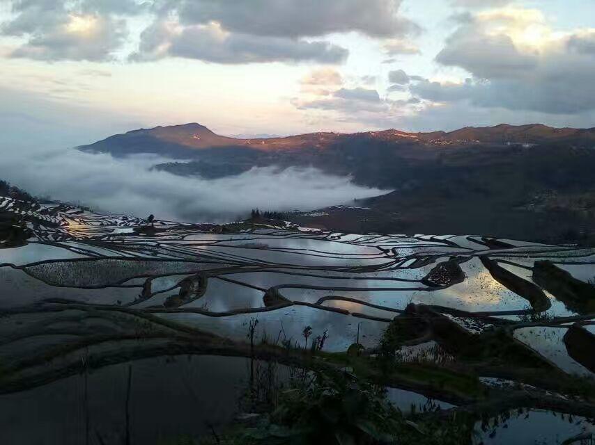 Green Hostel & Sunny Guesthouse 위안양 외부 사진